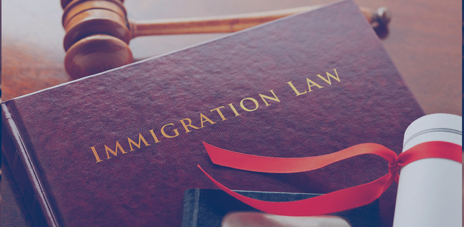 Dublin Immigration Lawyer